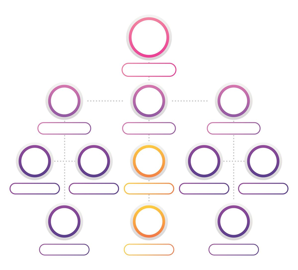 College organizational structure